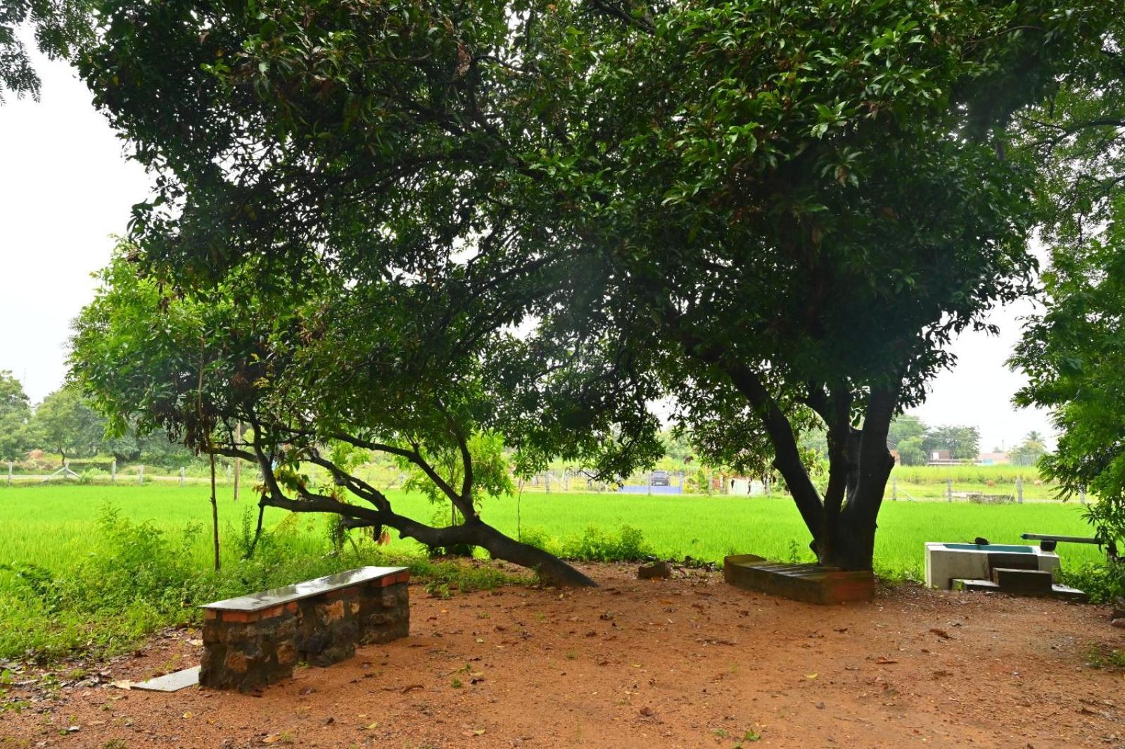 Pathayam Inn Tiruvannāmalai Eksteriør billede